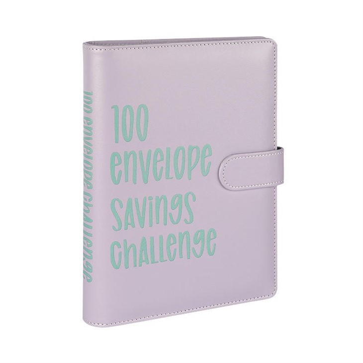 money challenge budget binders
