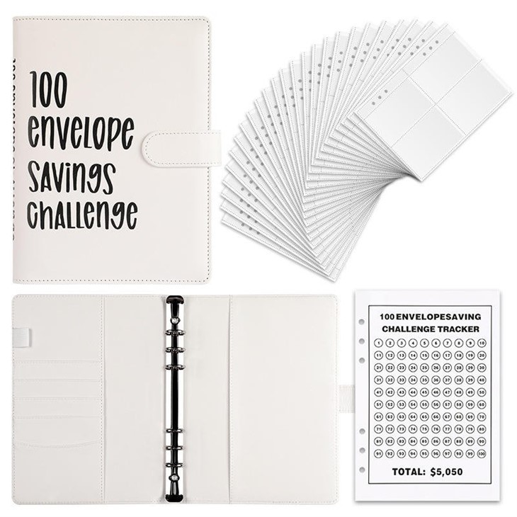 savings challenge budget binder