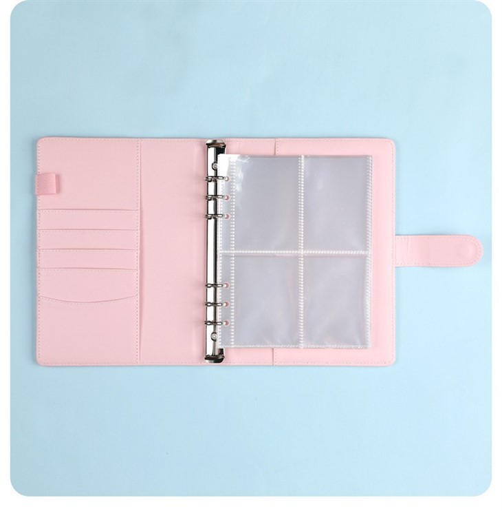 savings challenge binder